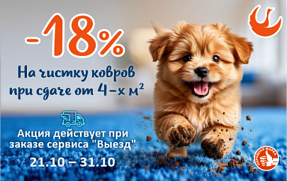 Скидка 18% при сдаче в чистку к...
